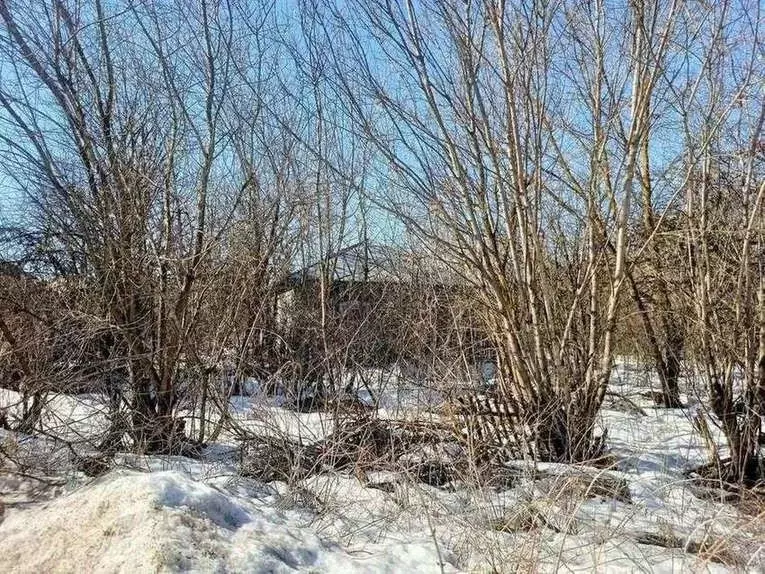 Дом в Рязанская область, Кораблино Набережная ул. (67 м) - Фото 2