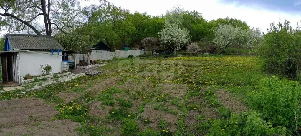 Участок в Амурская область, Благовещенск Строитель садовое ... - Фото 1