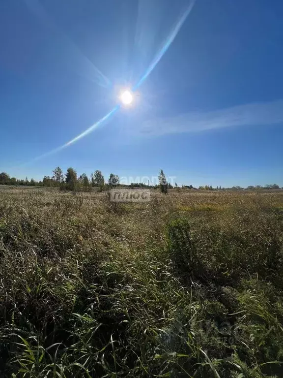 Участок в Челябинская область, Копейск ул. Разведчиков, 20 (10.0 сот.) - Фото 1