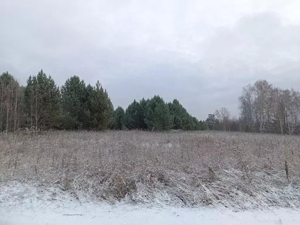 Участок в Красноярский край, Емельяновский муниципальный округ, Сухой ... - Фото 1