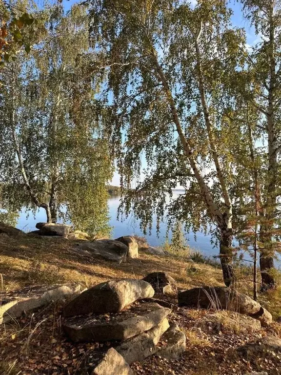 Участок в Челябинская область, Аргаяшский муниципальный округ, Заря ... - Фото 1