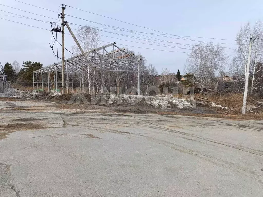 Участок в Новосибирская область, Новосибирский район, с. Барышево ... - Фото 1
