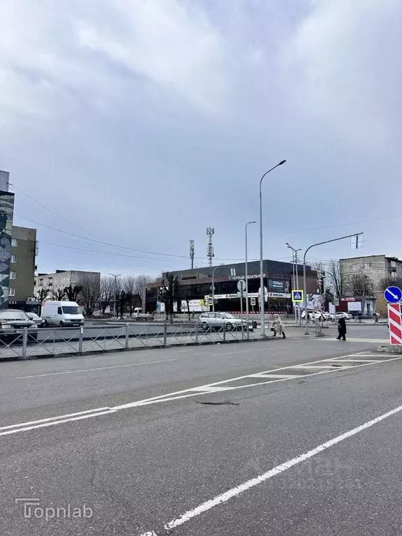 Торговая площадь в Калининградская область, Светлый ул. Лизы Чайкиной ... - Фото 2