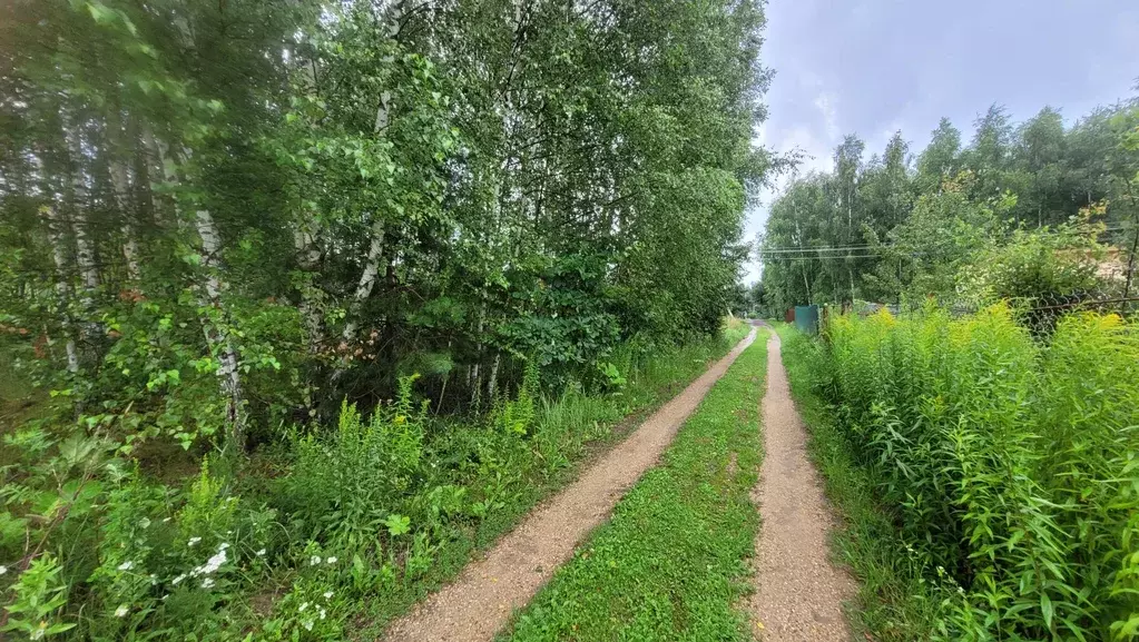 Продается участок в д. Писарево - Фото 1