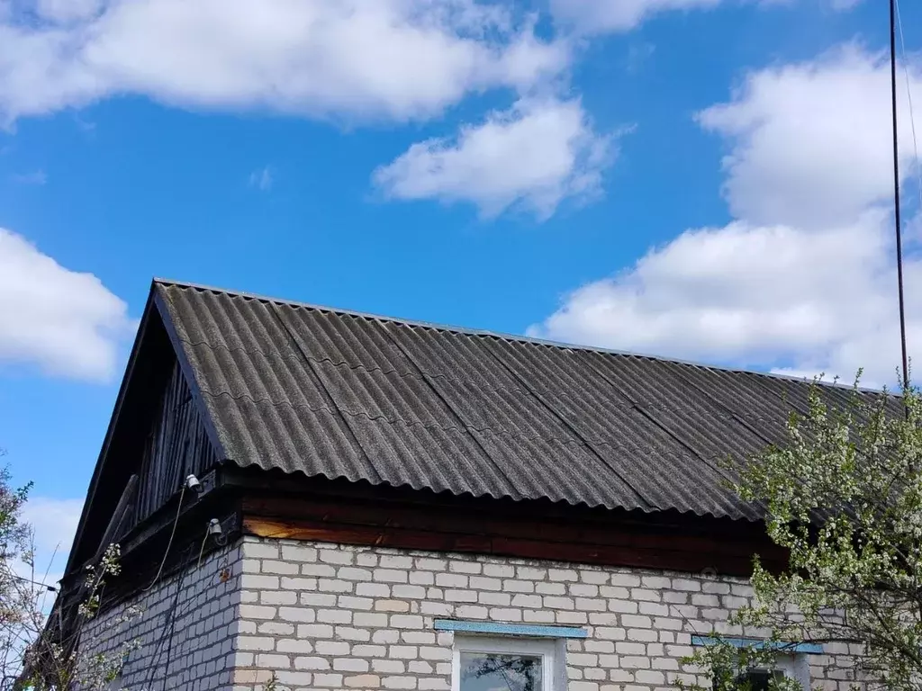 Дом в Рязанская область, Сасовский муниципальный округ, пос. Батьки ... - Фото 1