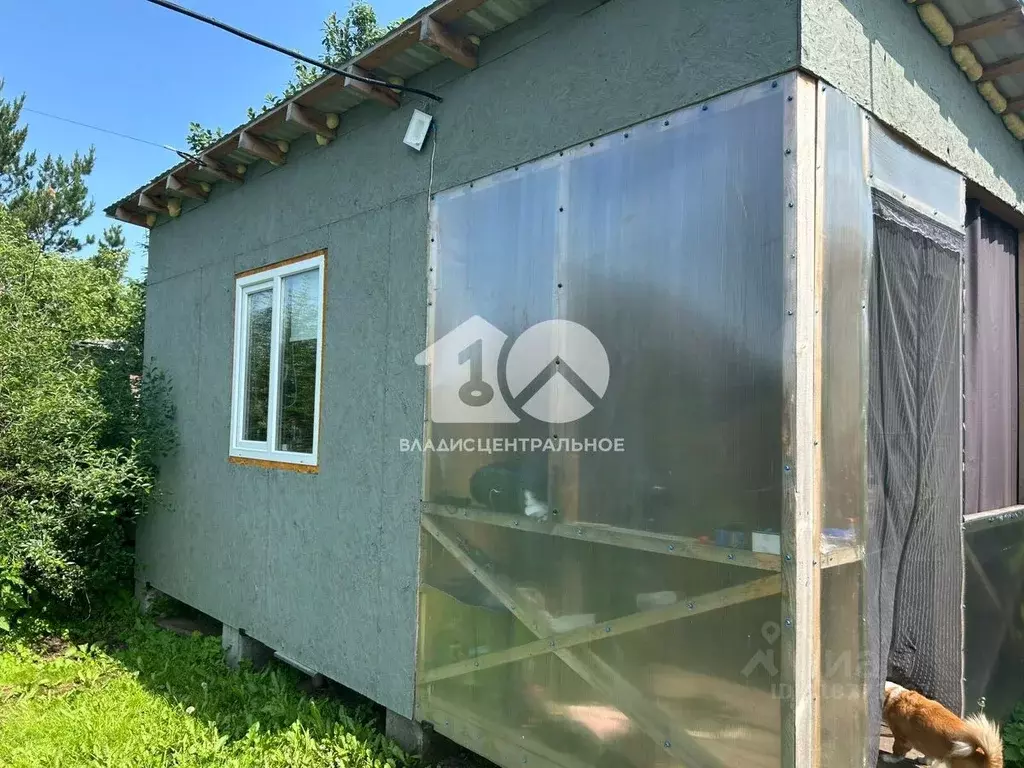 Участок в Новосибирская область, Новосибирск Березовая Роща СТ, 393 ... - Фото 1