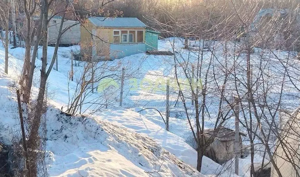 Участок в Чувашия, Чебоксары Заря СНТ, 1091 (5.0 сот.) - Фото 1