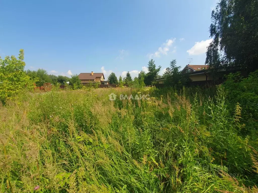 Участок в Московская область, Пушкинский городской округ, Пушкино Лайф ... - Фото 2