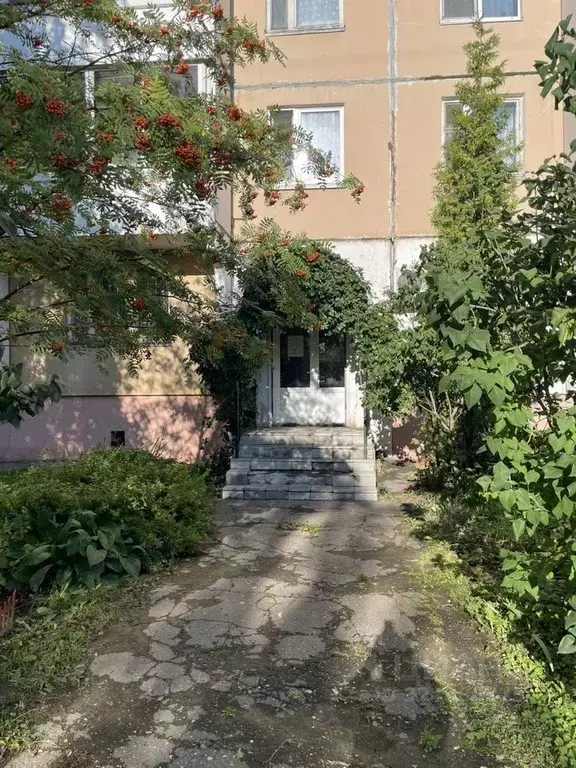 Торговая площадь в Московская область, Лобня ул. Чехова, 12 (55 м) - Фото 2