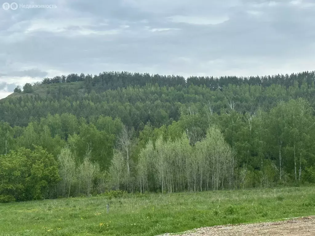 Дом в село Зигитяк, Родниковая улица, 2 (95.8 м) - Фото 0