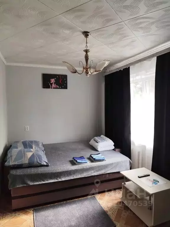 2-к кв. Воронежская область, Воронеж Минская ул., 19/1 (30.0 м) - Фото 2