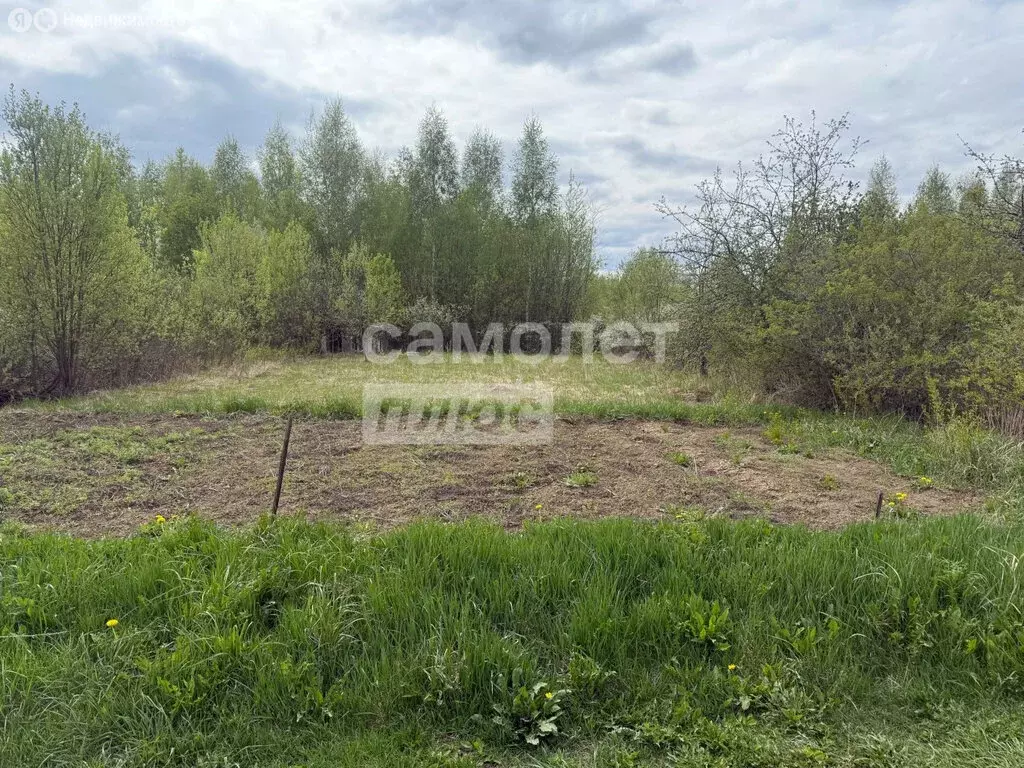 Участок в Медведевский район, Знаменское сельское поселение, СНТ ... - Фото 1