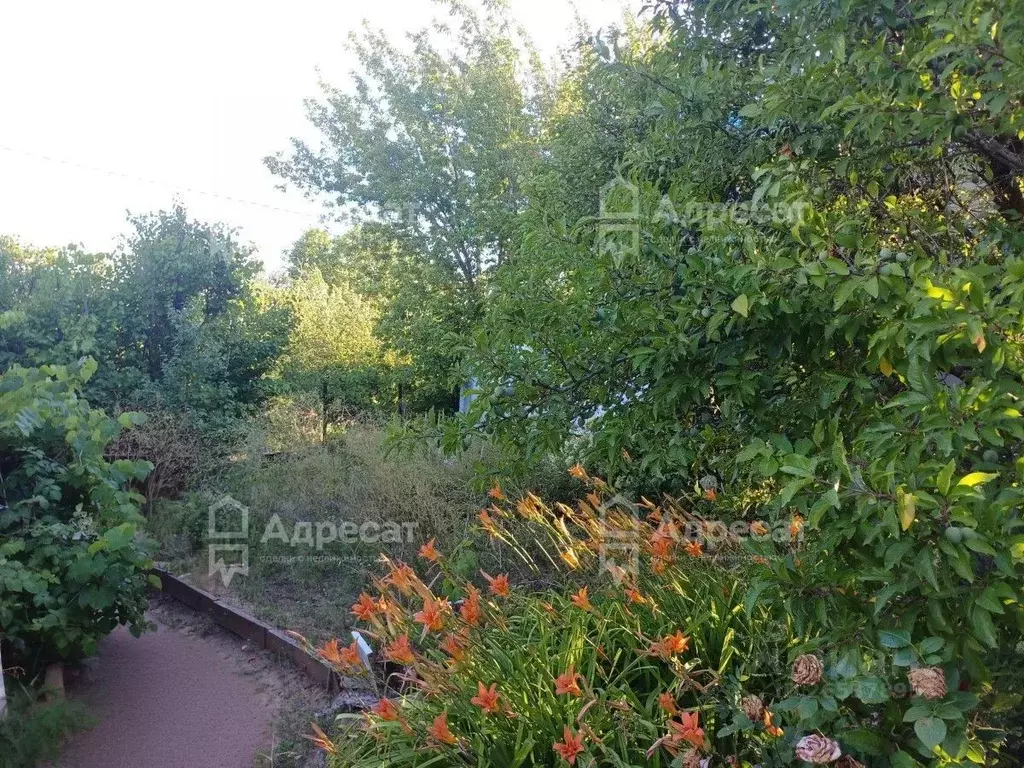 Дом в Волгоградская область, Волгоград Мичуринец СНТ, 11 (25 м) - Фото 1