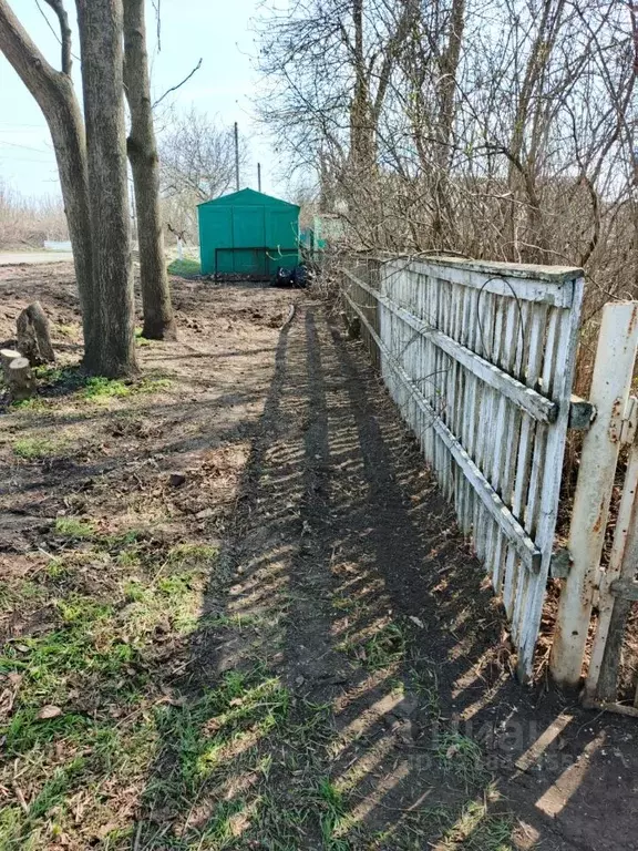 Участок в Ростовская область, Багаевский район, Манычское с/пос, ... - Фото 1