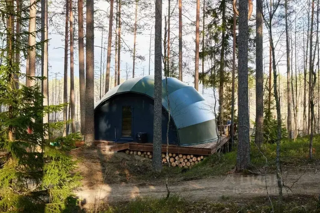 Дом в Ленинградская область, Выборгский район, Первомайское с/пос ... - Фото 2