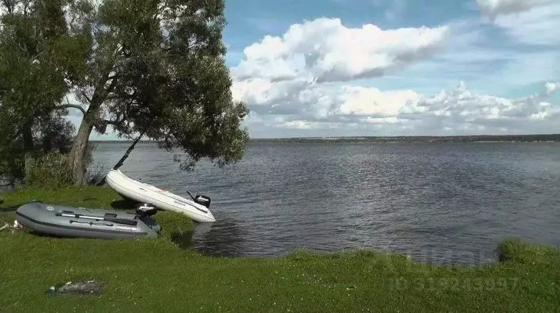 Участок в Пензенская область, Шемышейский район, с. Усть-Уза  (15.33 ... - Фото 1