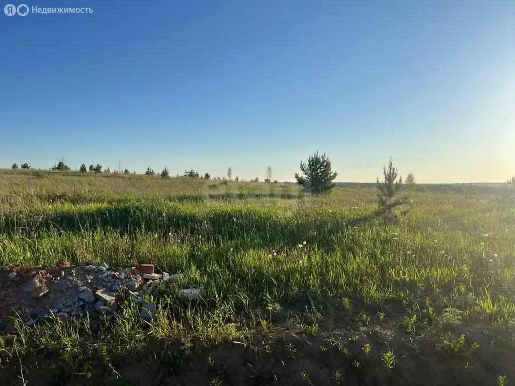 Участок в Завьяловский район, деревня Лудорвай (10.88 м) - Фото 1