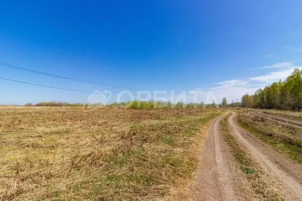 Участок в Тюменская область, Тюменский муниципальный округ, с. ... - Фото 2