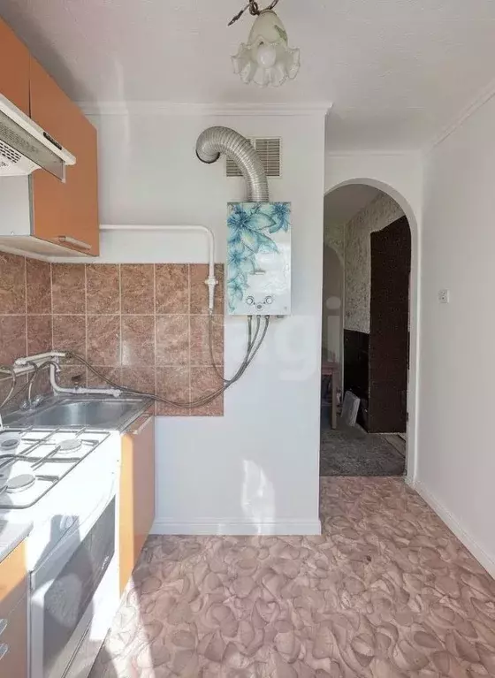 1-к кв. Псковская область, Псковский район, Писковичская волость, д. ... - Фото 2