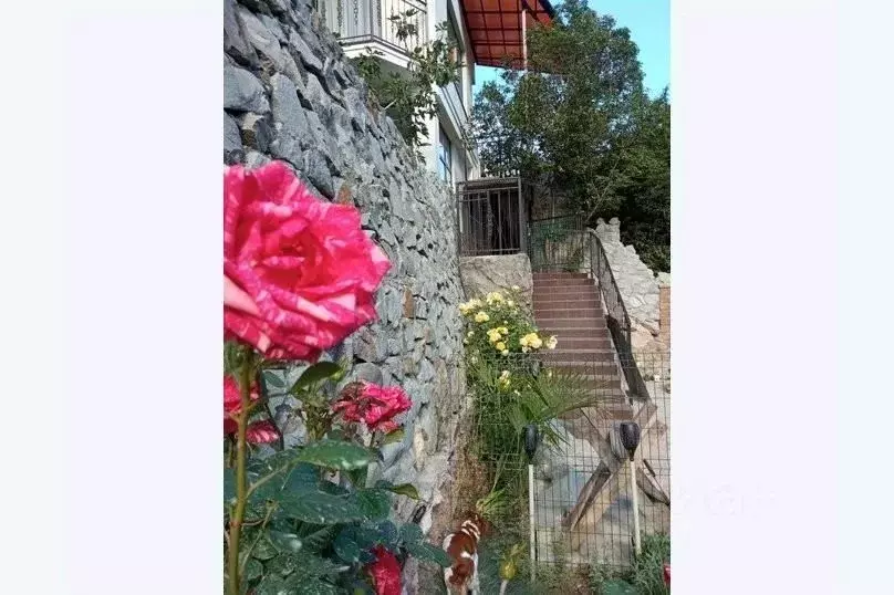 1-к кв. Крым, Ялта ул. Большевистская, 5 (40.0 м) - Фото 1