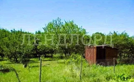 Участок в Ростовская область, Родионово-Несветайский район, ... - Фото 2