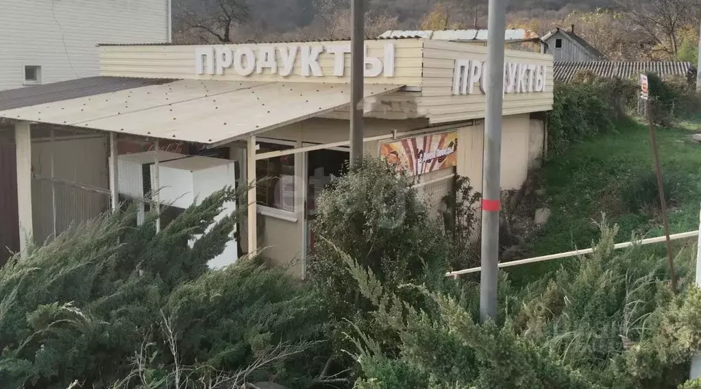 Участок в Краснодарский край, Геленджик городской округ, с. ... - Фото 1