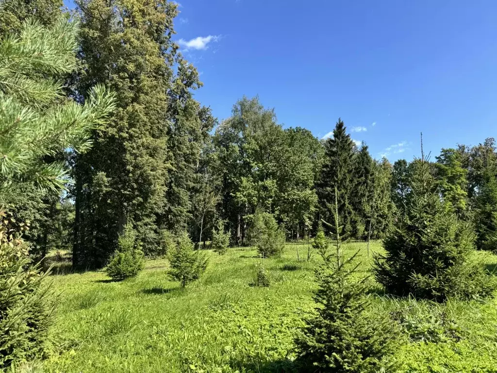 Участок в Московская область, Дмитровский муниципальный округ, д. ... - Фото 2