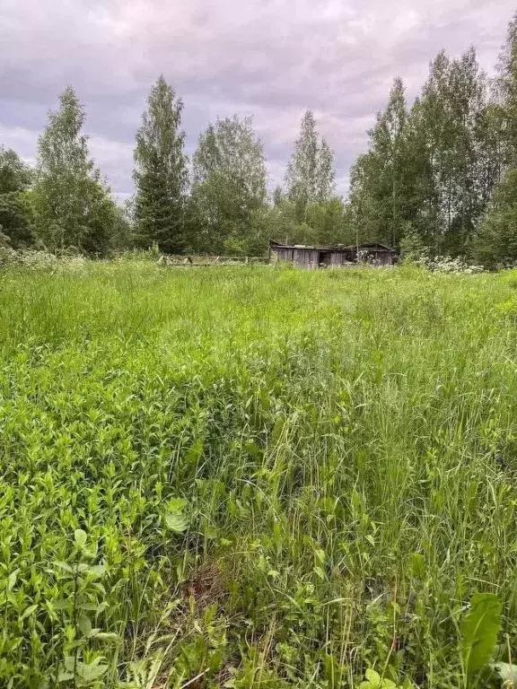 Участок в Вологодская область, Вологда Сохатый садоводческое ... - Фото 1