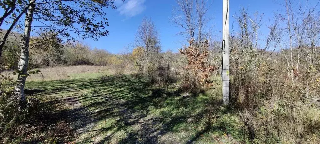 Участок в Адыгея, Майкопский район, Даховское с/пос, с. Хамышки ул. ... - Фото 1