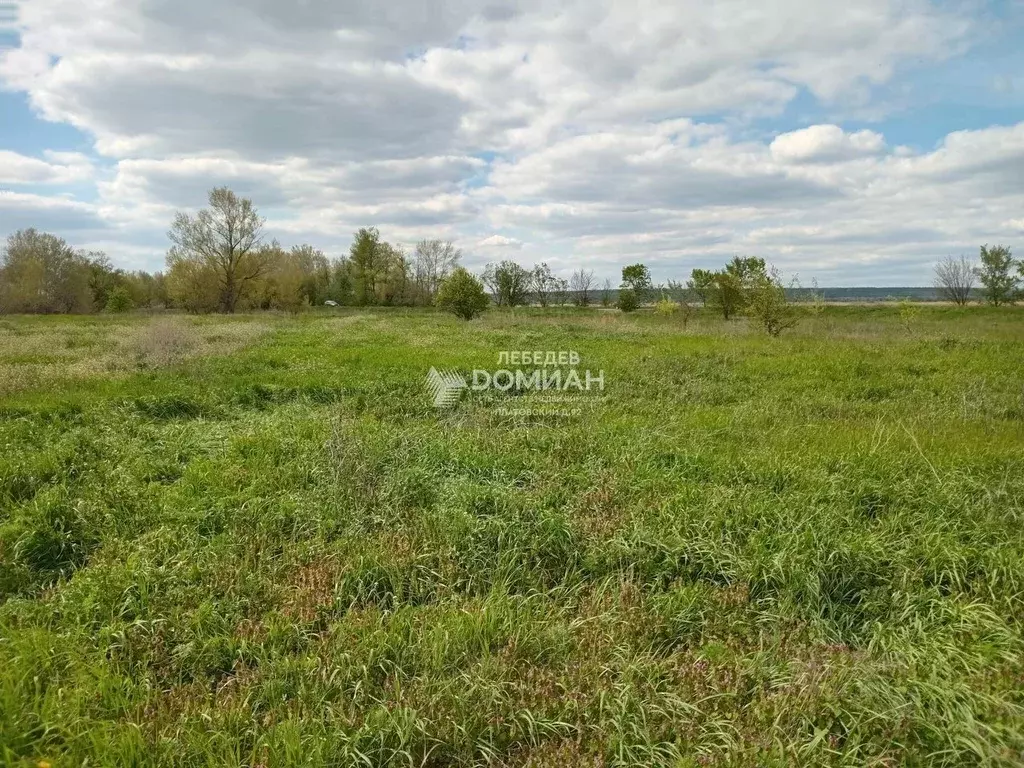Участок в Ростовская область, Октябрьский район, Бессергеневское ... - Фото 1