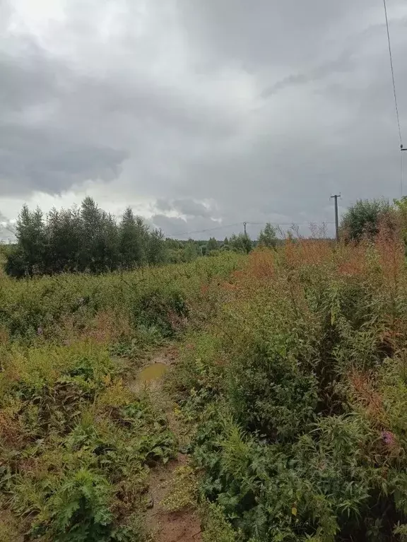 Участок в Московская область, Солнечногорск городской округ, д. Мостки ... - Фото 1
