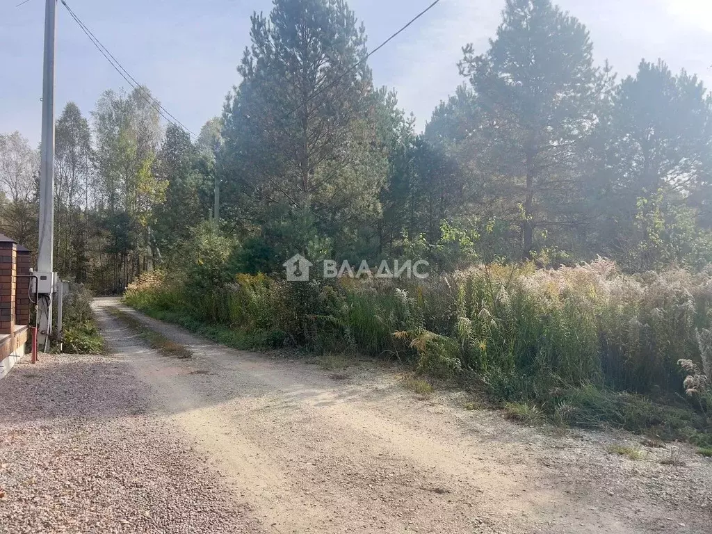 Участок в Пензенская область, Пенза Камыши садовое дачное ... - Фото 1