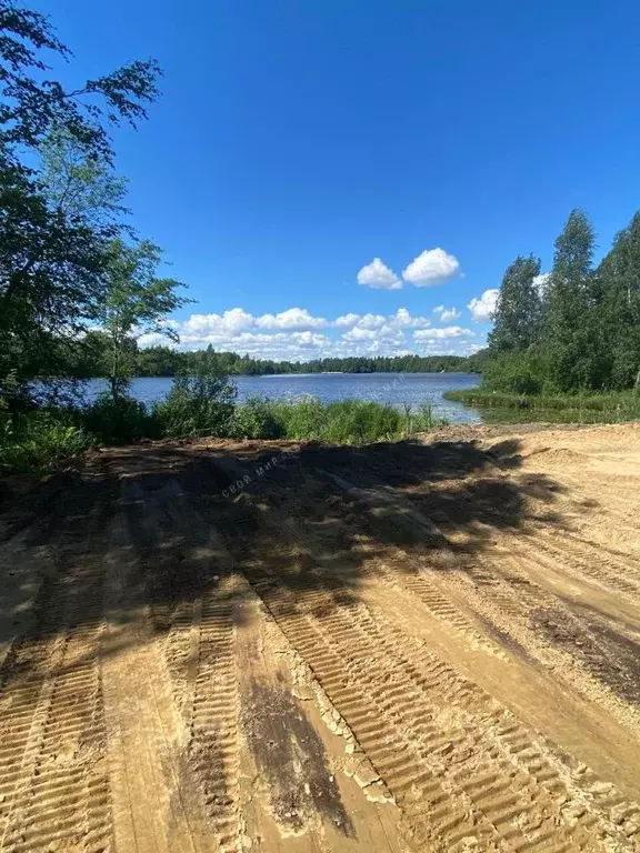 Участок в Ленинградская область, Всеволожский район, Лесколовское ... - Фото 0