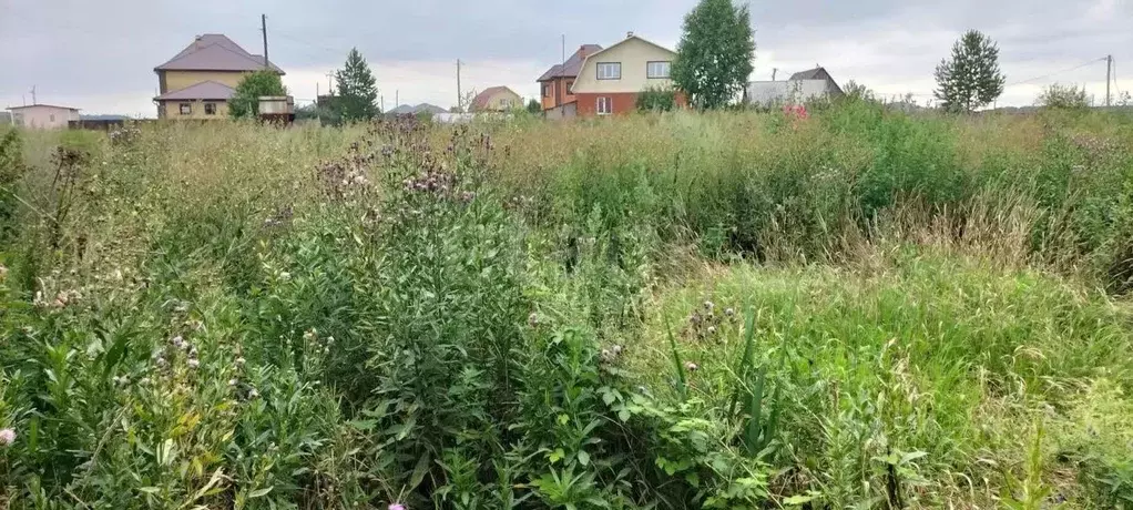 Участок в Тюменская область, Тюменский муниципальный округ, д. Елань ... - Фото 1