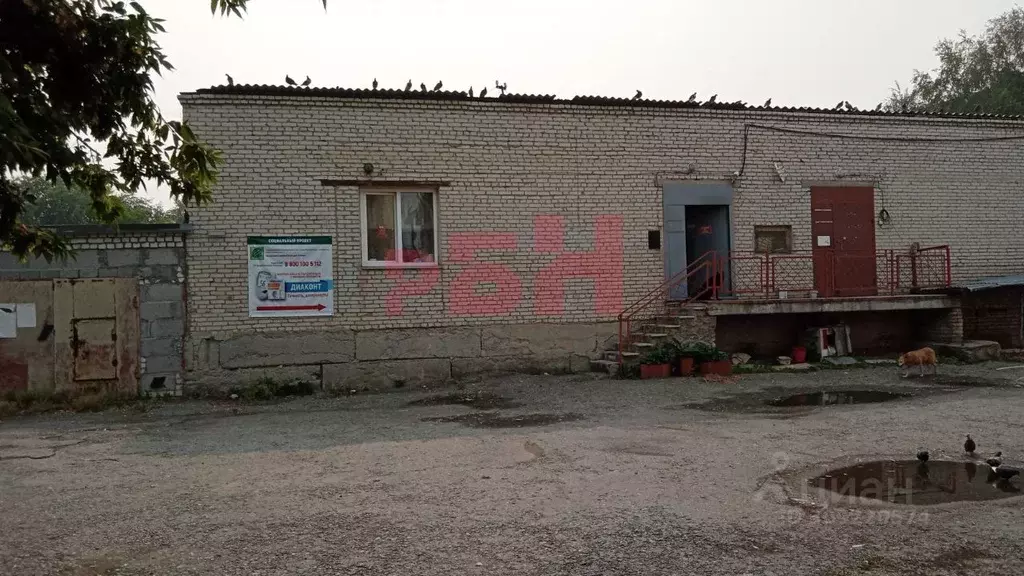 Помещение свободного назначения в Курганская область, Курган Советская ... - Фото 2