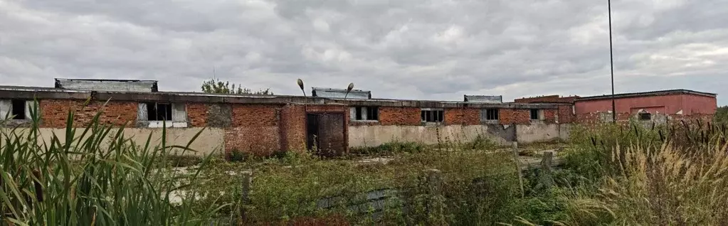 Склад в Московская область, Истра муниципальный округ, пос. ... - Фото 2