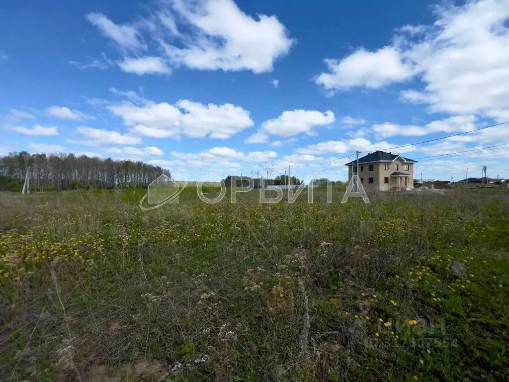 Участок в Тюменская область, Тюменский район, с. Кулига, Сказка кп  ... - Фото 1
