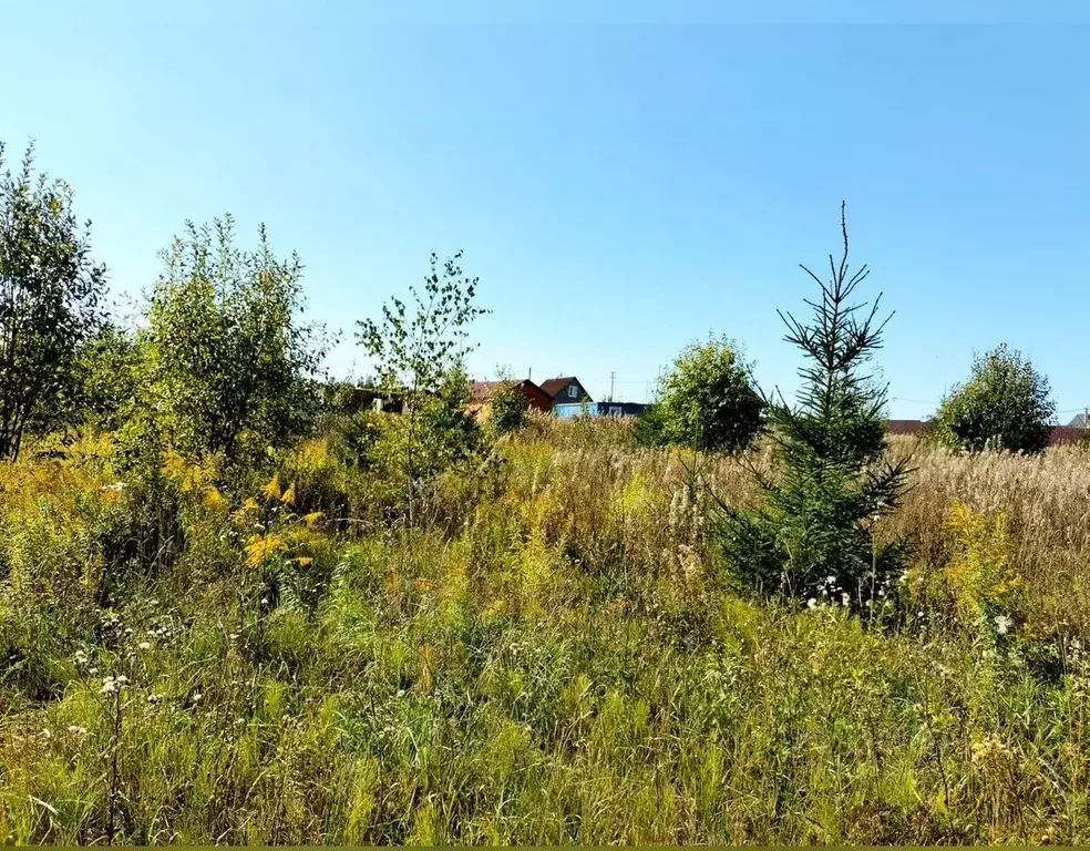 Участок в Московская область, Сергиево-Посадский городской округ, д. ... - Фото 0