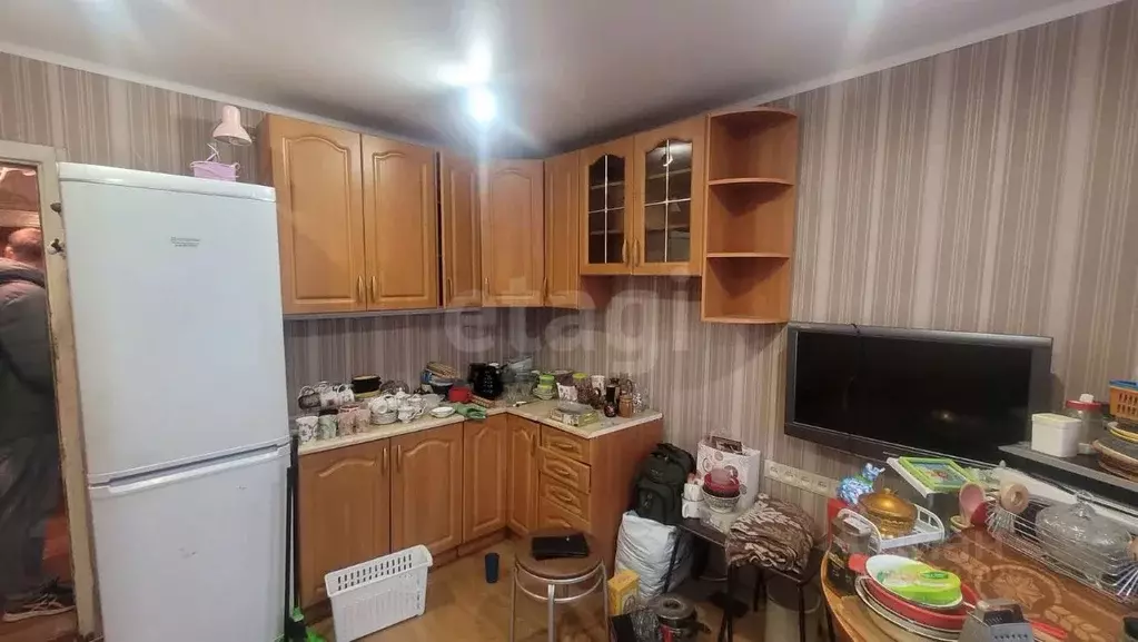 2-к кв. Брянская область, Брянск ул. Костычева, 41к1 (48.5 м) - Фото 1