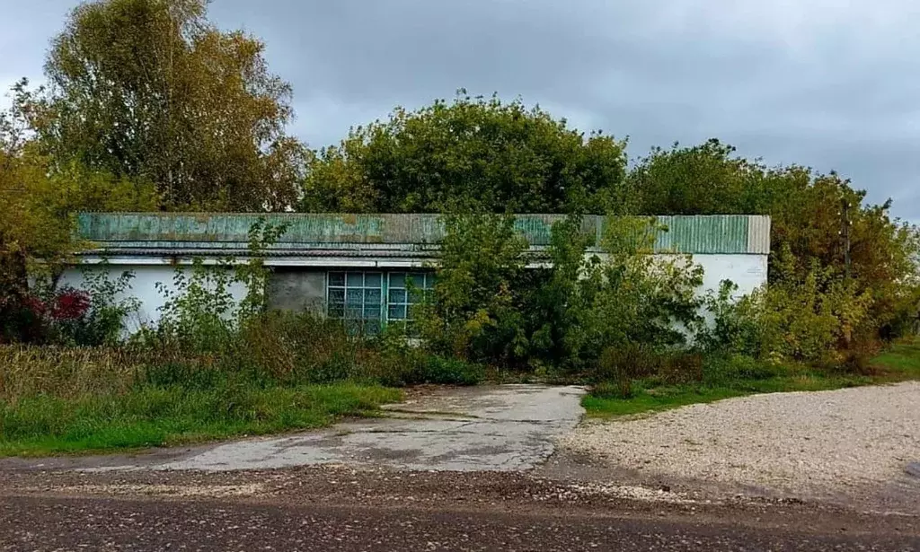 Помещение свободного назначения в Рязанская область, Сараевский район, ... - Фото 0