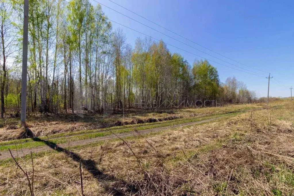 участок в тюменская область, тюменский район, с. горьковка (10.0 . - Фото 1