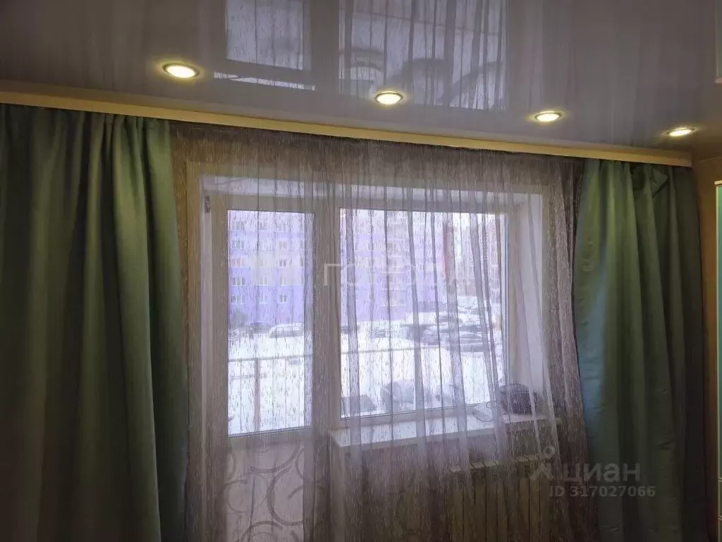 1-к кв. Новосибирская область, Новосибирск ул. Дмитрия Шмонина, 1 ... - Фото 0