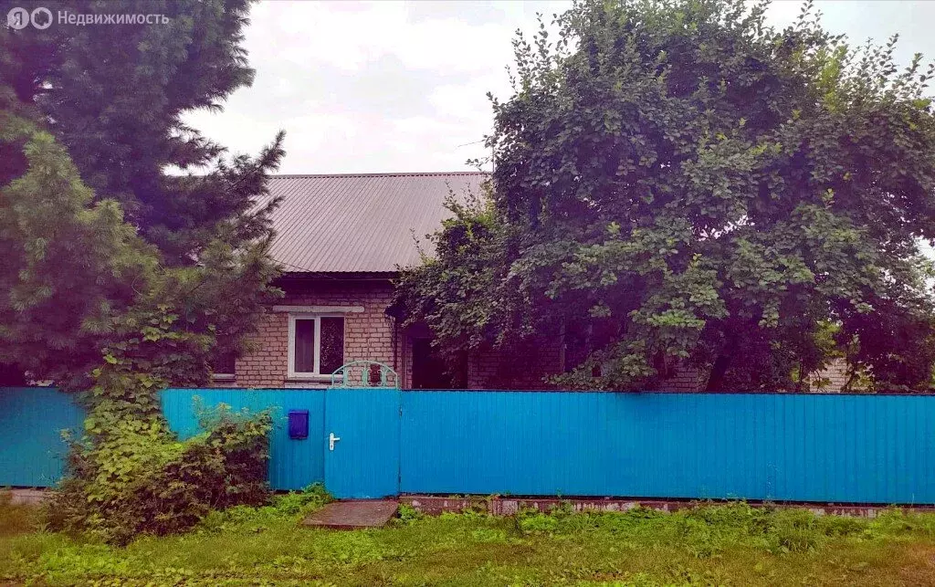 Дом в Бийск, посёлок Сорокино, улица Андрея Попова, 14 (95.7 м) - Фото 1