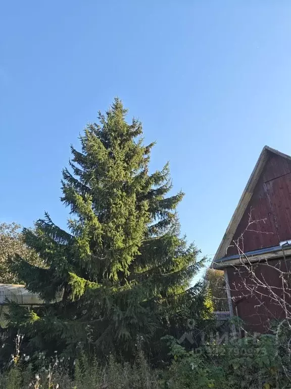 Дом в Ленинградская область, Сертолово Всеволожский район, Ягодка СНТ, ... - Фото 2