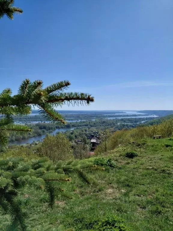 Участок в Нижегородская область, Нижний Новгород с. Кадницы, ул. ... - Фото 1