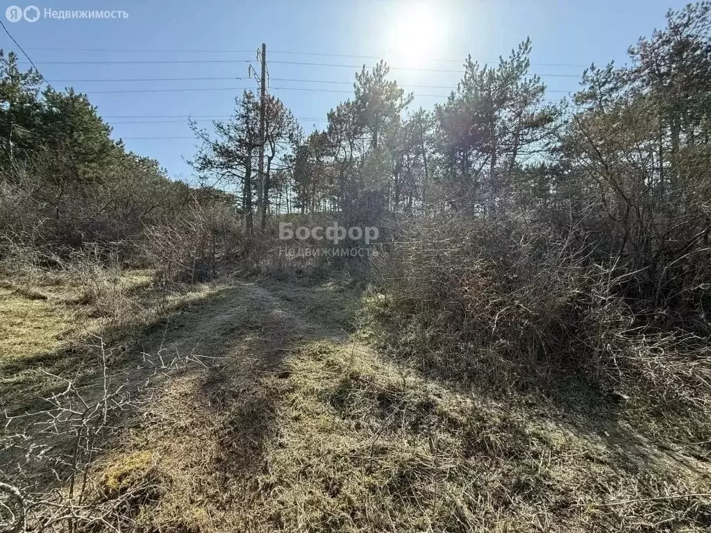 Участок в Феодосия, улица Панова, 106 (3 м) - Фото 2