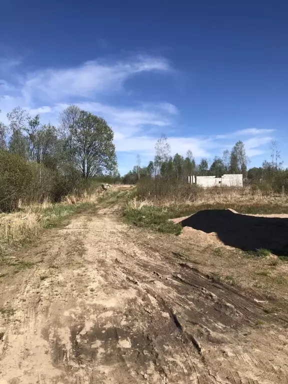 Участок в Псковская область, Псков ул. Ивана Перова (15.0 сот.) - Фото 2