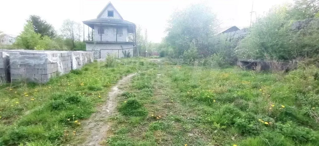 Участок в Калининградская область, Калининград Утро СНТ, ул. Фортовая, ... - Фото 1