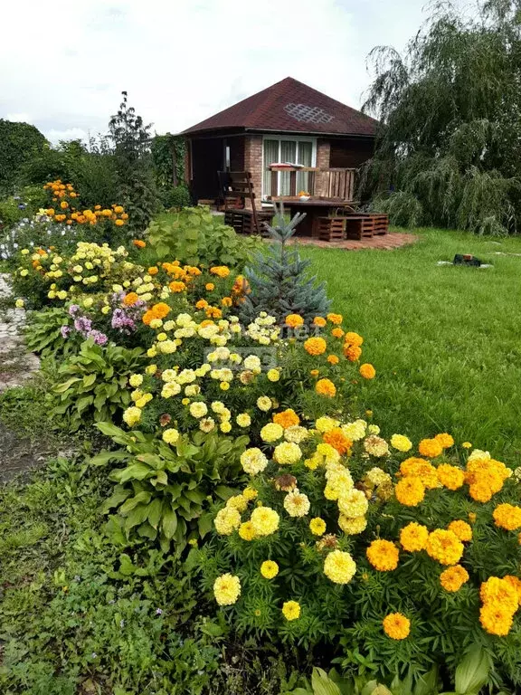 Дом в деревня Зимник, Зелёная улица, 39А (23.8 м) - Фото 0