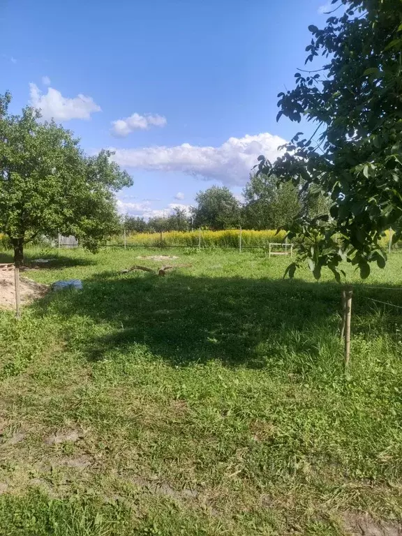 Участок в Брянская область, Брянский район, Снежское с/пос, с. ... - Фото 1